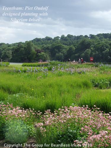 Trentham (2)